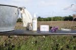 lilbobs.nl-mrsbobs-zeep-enfance-8-12-jaar-kinderen