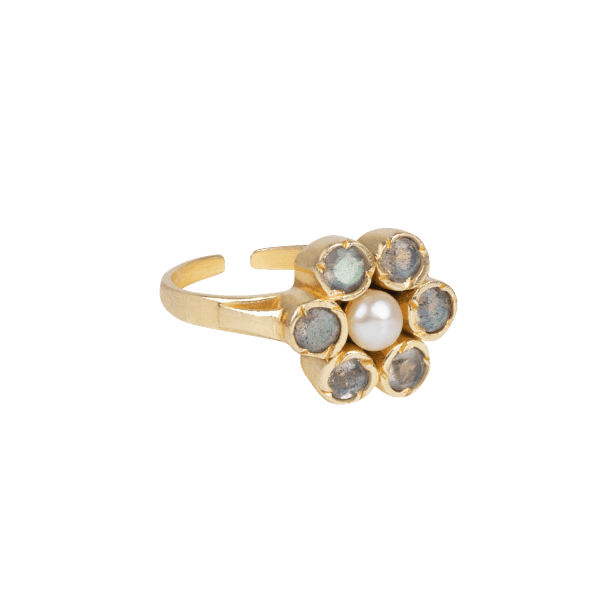 lilbobs.nl-vintagegold-ring-alacollection