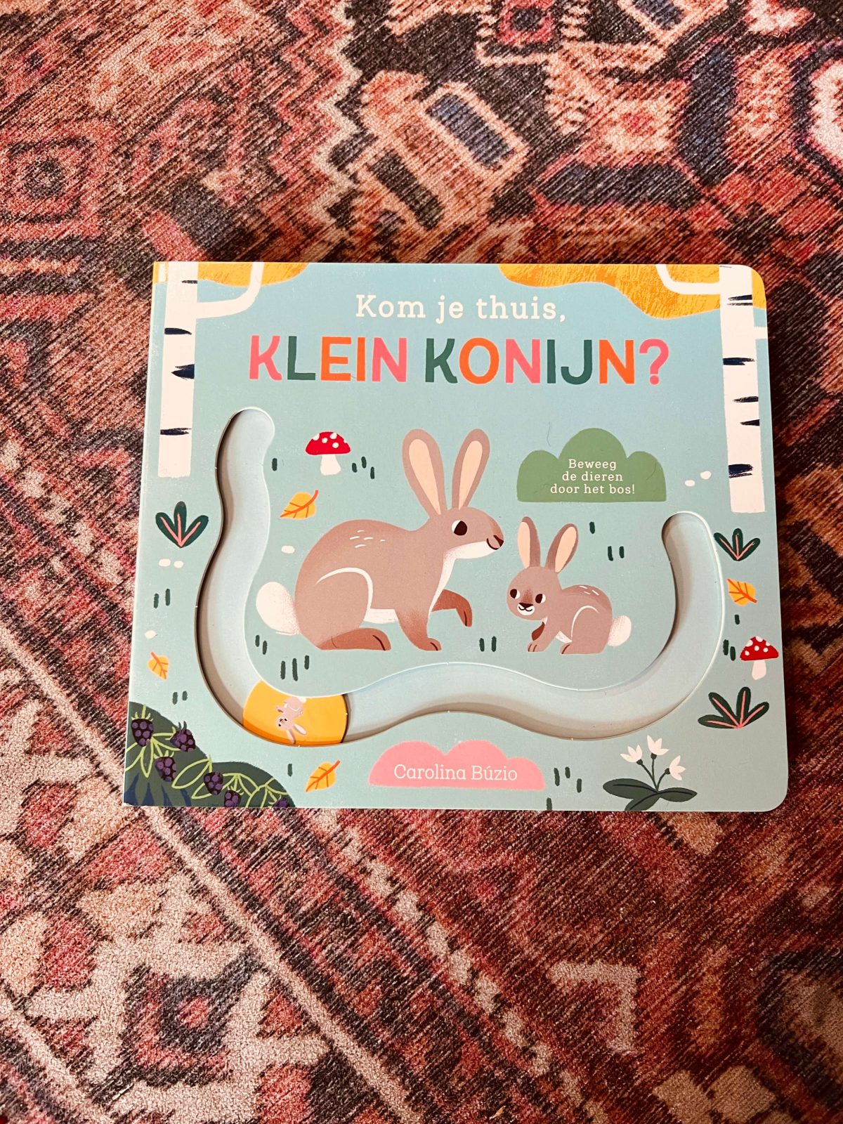 lilbobs.nl-boekje-klein-konijn-baby-peuter