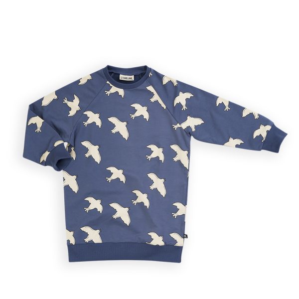 Sweaterdress-carlijnq-lilbobs-dress