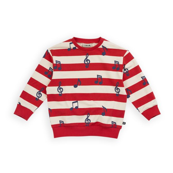 lilbobs.nl-music-sweater-carlijnq